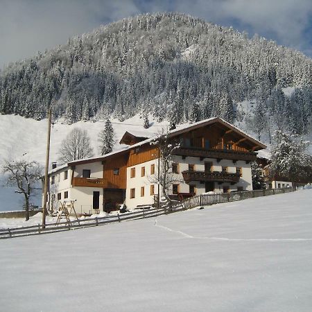 Haus Salvenmoser Walchsee Kültér fotó